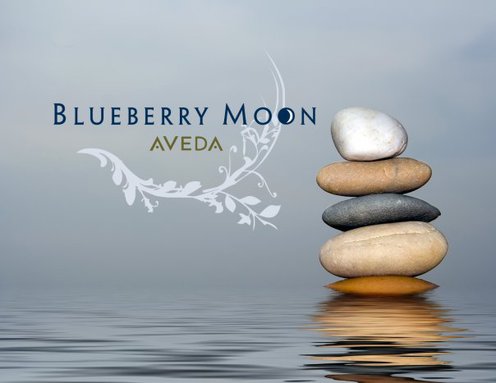 Blueberry Moon Salon Spa - Chicago, IL